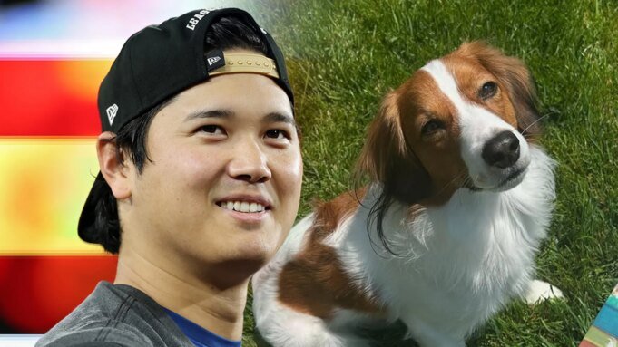Shohei Oht Shohei Ohtani 在世界職業棒球大賽第一場比賽前穿上誘餌萊特曼夾克| mtgamer.com