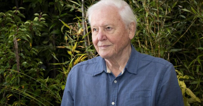99 歲的大衛·阿滕伯勒 (David Attenborough) 成為最年長的日間艾美獎得主| mtgamer.com