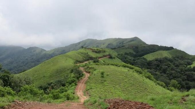 Chikkamaga Google Preferred Source