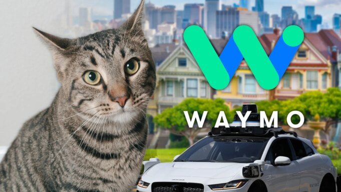 Waymo 表示，在舊金山發生致命車禍之前，一隻貓跳到了一輛自動駕駛汽車下面| mtgamer.com