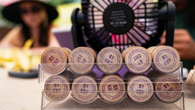 各州起訴特朗普行政長 各州起訴特朗普行政長官,要求其削減 SNAP 和食品券數十億美元| mtgamer.com