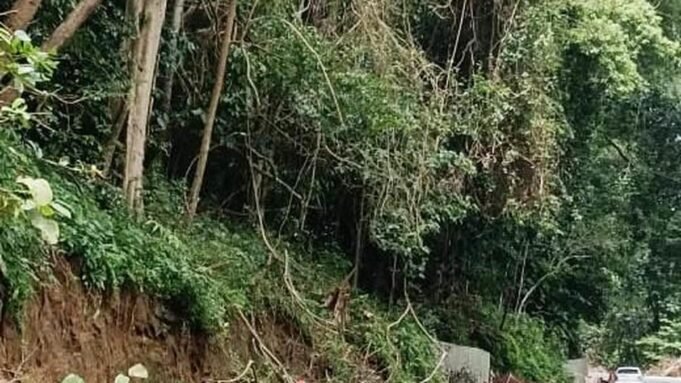 國家道路保護委員會要 國家道路保護委員會要求政府恢復道路拓寬工作| mtgamer.com