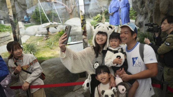 大熊貓推動香港海洋公 大熊貓推動香港海洋公園發展,但赤字擴大至2.75億港元| mtgamer.com