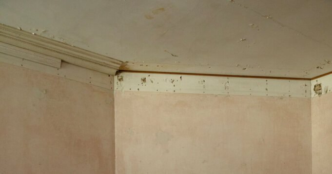 對於伯克郡宅邸的鬼魂來說，鍍金時代從未結束。| mtgamer.com