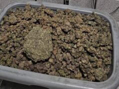 10 天內 67 公斤水大麻:班加羅爾海關在機場攔截中查獲大量毒品
| mtgamer.com 10 天內 67 公斤水大麻:班加羅爾海關在機場攔截中查獲大量毒品
| mtgamer.com