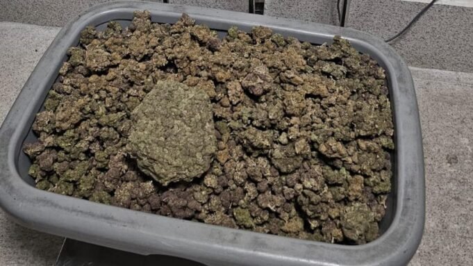 10 天內 67 公 10 天內 67 公斤水大麻:班加羅爾海關在機場攔截中查獲大量毒品
| mtgamer.com