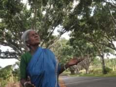 114 歲環保人士“Saalumarada”Thimmakka 不再種植卡納塔克邦 94 號庫杜爾至胡利卡爾國道的樹木
| mtgamer.com 114 歲環保人士“Saalumarada”Thimmakka 不再種植卡納塔克邦 94 號庫杜爾至胡利卡爾國道的樹木
| mtgamer.com