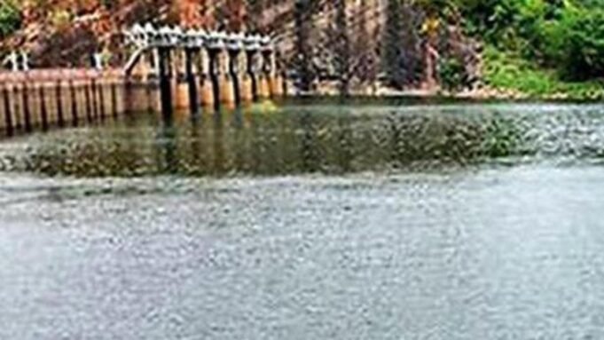 Papanasam 大壩的水位為 134.55 英尺
| mtgamer.com