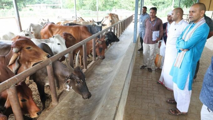 Google Preferred Source