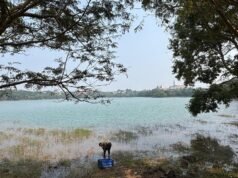 MLA Yashpal Suvarna 敦促地區政府將 Mannapalla 湖的維護工作移交給 Udupi CMC
| mtgamer.com MLA Yashpal Suvarna 敦促地區政府將 Mannapalla 湖的維護工作移交給 Udupi CMC
| mtgamer.com