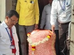 中央鐵路推出直達拉馬納加拉的蠶繭運輸服務
| mtgamer.com 中央鐵路推出直達拉馬納加拉的蠶繭運輸服務
| mtgamer.com