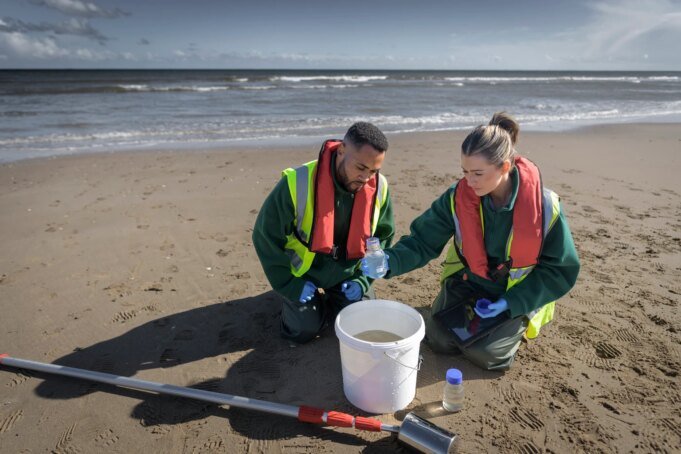 儘管最近價格下跌，蒙特羅斯環境看起來不錯
| mtgamer.com