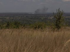 南非人得到了工作承諾,但最終卻為俄羅斯“參戰”
| mtgamer.com 南非人得到了工作承諾,但最終卻為俄羅斯“參戰”
| mtgamer.com