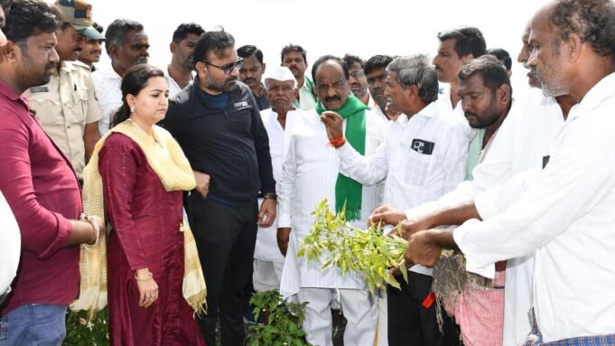 向達瓦德農民發放針對農作物損失的額外補助金
| mtgamer.com