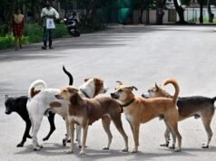 哥印拜陀公司將確定空間建造狗收容所,作為將狗從公共場所移走的計劃的一部分
| mtgamer.com 哥印拜陀公司將確定空間建造狗收容所,作為將狗從公共場所移走的計劃的一部分
| mtgamer.com