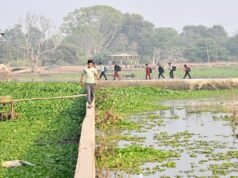 在一場破壞生命和生計的洪水中,一堵連接的牆
| mtgamer.com 在一場破壞生命和生計的洪水中,一堵連接的牆
| mtgamer.com