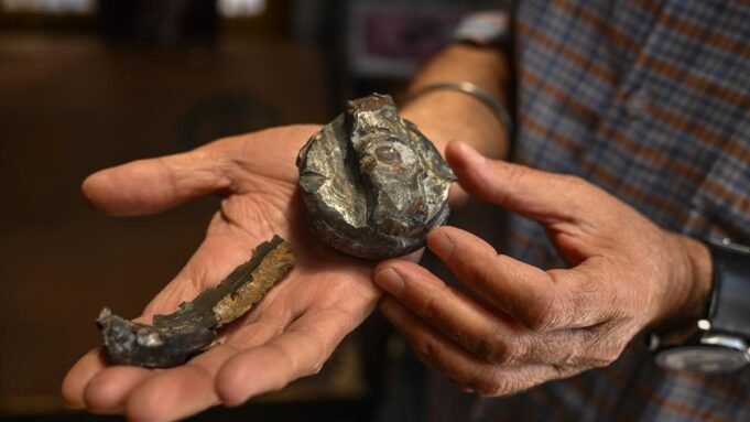 在查謨和克什米爾的桑 在查謨和克什米爾的桑巴舞中發現生鏽的迫擊砲彈;努力消除它
| mtgamer.com