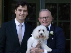 安東尼·艾博尼斯 (Anthony Albanese) 與朱迪·海頓 (Jodie Haydon) 結婚,特邀嘉賓搶盡風頭
| mtgamer.com 安東尼·艾博尼斯 (Anthony Albanese) 與朱迪·海頓 (Jodie Haydon) 結婚,特邀嘉賓搶盡風頭
| mtgamer.com