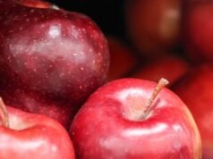 密歇根大學為種植者推出水果許可計劃
| mtgamer.com 密歇根大學為種植者推出水果許可計劃
| mtgamer.com