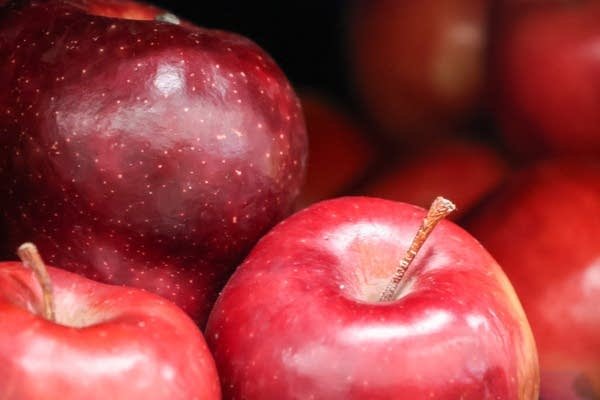 密歇根大學為種植者推 密歇根大學為種植者推出水果許可計劃
| mtgamer.com