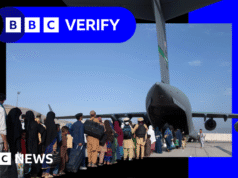 拜登領導下如何審查阿富汗撤離人員?
| mtgamer.com 拜登領導下如何審查阿富汗撤離人員?
| mtgamer.com