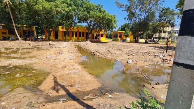 Google Preferred Source