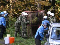 日本熊襲擊事件激增的原因是什麼?
| mtgamer.com 日本熊襲擊事件激增的原因是什麼?
| mtgamer.com