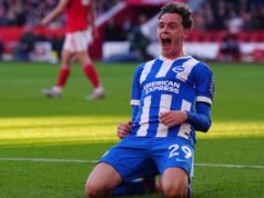 森林隊的不敗紀錄被布萊頓終結
| mtgamer.com 森林隊的不敗紀錄被布萊頓終結
| mtgamer.com