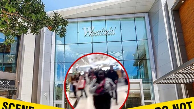 槍手在加州購物中心內 槍手在加州購物中心內射殺 3 人,視頻顯示後果
| mtgamer.com