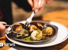 法國農場價值9萬歐元的蝸牛被盜
| mtgamer.com 法國農場價值9萬歐元的蝸牛被盜
| mtgamer.com