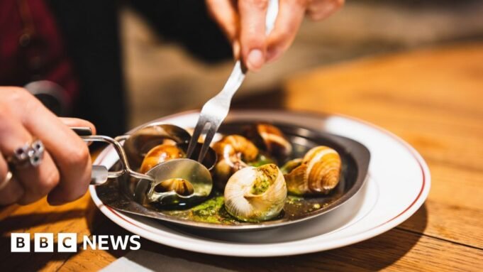 法國農場價值9萬歐元 法國農場價值9萬歐元的蝸牛被盜
| mtgamer.com