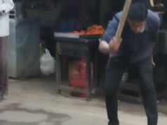 流浪狗被打死扔進垃圾桶;茶店老闆在 Mylapore 被捕
| mtgamer.com 流浪狗被打死扔進垃圾桶;茶店老闆在 Mylapore 被捕
| mtgamer.com