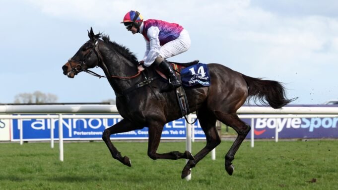 海地冷卻器在紐伯里重返賽場| mtgamer.com