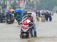 熱帶氣旋迪特瓦在斯里蘭卡引發致命降雨
| mtgamer.com 熱帶氣旋迪特瓦在斯里蘭卡引發致命降雨
| mtgamer.com