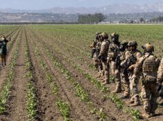 特朗普政府的“效率”目標如何加劇了食物浪費
| mtgamer.com 特朗普政府的“效率”目標如何加劇了食物浪費
| mtgamer.com