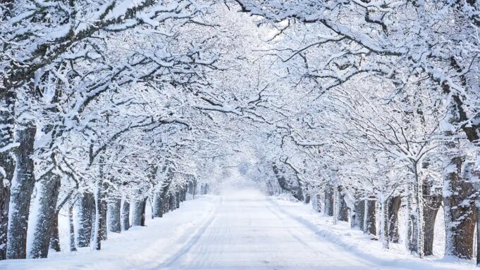 相信商業神話的危險
| mtgamer.com