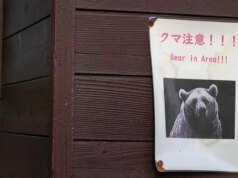 美國向在日美國人發出不同尋常的警告:謹防熊襲擊
| mtgamer.com 美國向在日美國人發出不同尋常的警告:謹防熊襲擊
| mtgamer.com