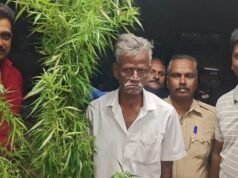 農民因在韋洛爾 Gudiyatham 附近的農田種植大麻植物而被捕
| mtgamer.com 農民因在韋洛爾 Gudiyatham 附近的農田種植大麻植物而被捕
| mtgamer.com