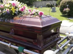 這是這三隻股票的最後一個聖誕節嗎?
| mtgamer.com 這是這三隻股票的最後一個聖誕節嗎?
| mtgamer.com