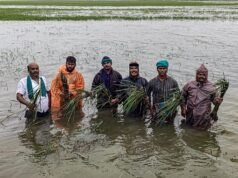 高韋里河三角洲近9萬公頃農田被淹沒
| mtgamer.com 高韋里河三角洲近9萬公頃農田被淹沒
| mtgamer.com