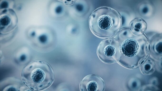 Immatics：PRAME 領導者向商業現實的過渡
| mtgamer.com