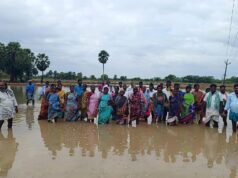 Kilvelur 的農民站在被淹沒的田地裡抗議農作物減產
| mtgamer.com Kilvelur 的農民站在被淹沒的田地裡抗議農作物減產
| mtgamer.com