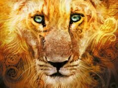 ‘The Chronicles of Narnia’ Books Ranked by How Much We Want to See Them Adapted on the Screen | mtgamer.com 'The Chronicles of Narnia' Books Ranked by How Much We Want to See Them Adapted on the Screen | mtgamer.com