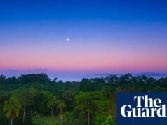 “他們現在害怕我們了”:對熱帶森林的共同投資如何擊退了伐木者
| mtgamer.com “他們現在害怕我們了”:對熱帶森林的共同投資如何擊退了伐木者
| mtgamer.com