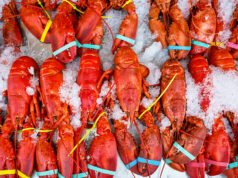 價值 40 萬美元的活龍蝦在運往中西部 Costco 地點的途中被劫持
| mtgamer.com 價值 40 萬美元的活龍蝦在運往中西部 Costco 地點的途中被劫持
| mtgamer.com