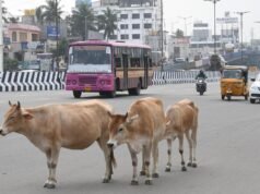 儘管計劃於 2024 年宣布,但大金奈公司尚未頒發養牛許可證
| mtgamer.com 儘管計劃於 2024 年宣布,但大金奈公司尚未頒發養牛許可證
| mtgamer.com