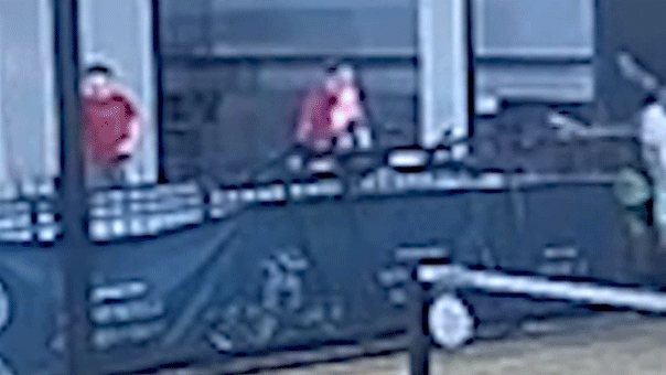 匹克球運動員爬過安全 匹克球運動員爬過安全欄取球後從三層樓墜落身亡
| mtgamer.com