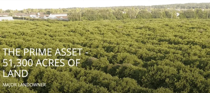 告別柑橘，你好甜蜜之地貨幣化：Alico 提供自上而下的節奏 – 季度更新報告
| mtgamer.com