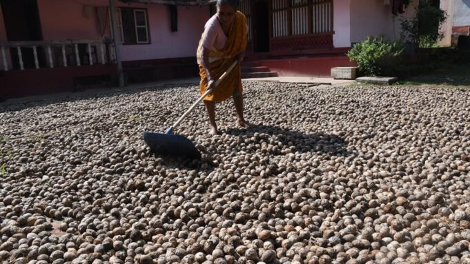 喬塔上尉指出從最不發達國家零關稅進口檳榔對印度農民的有害影響
| mtgamer.com