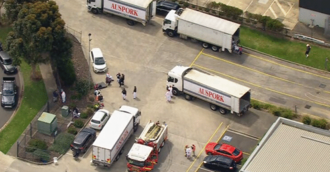 墨爾本豬肉廠毒氣洩漏 14人住院
| mtgamer.com